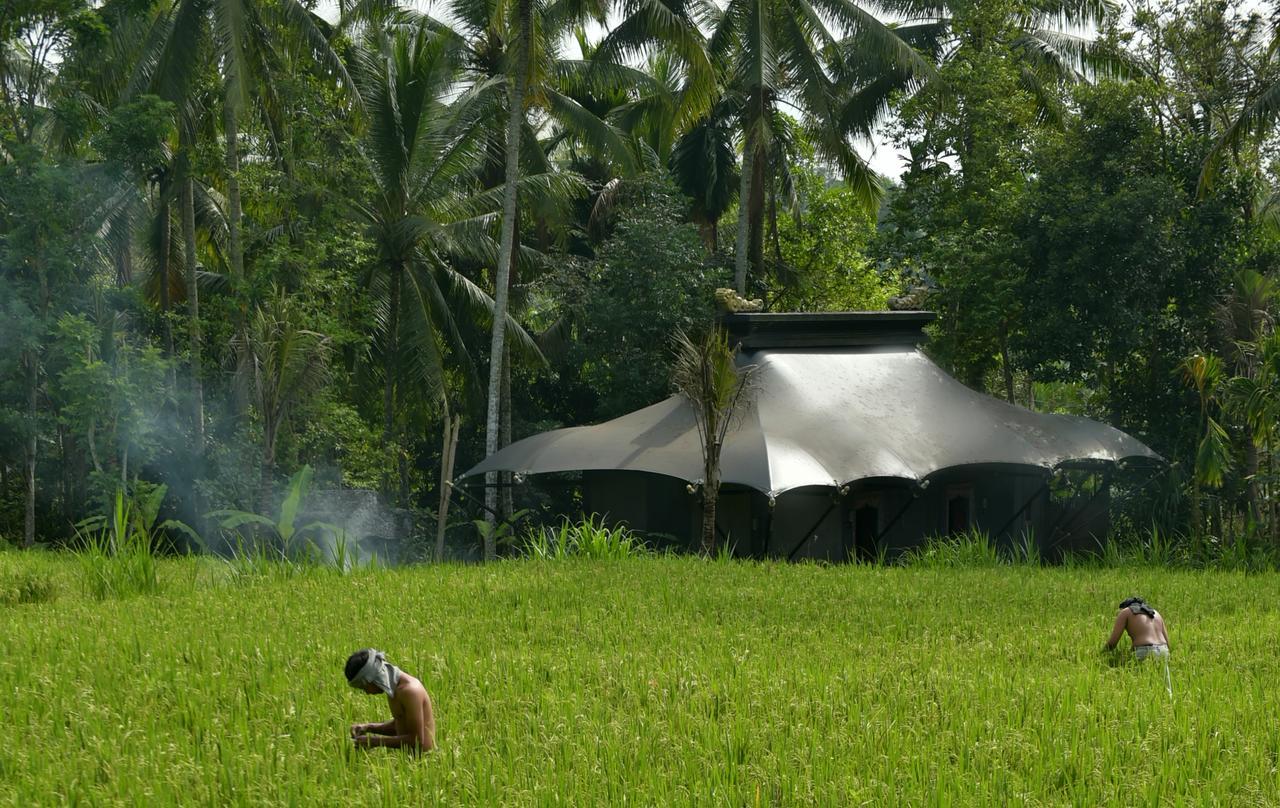 Hotel Capella Ubud, Bali Extérieur photo